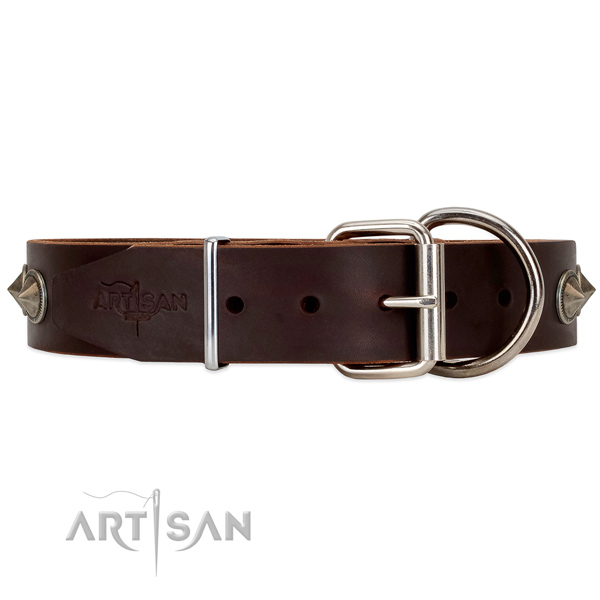 Leather dog collar with old bronze-like hardware