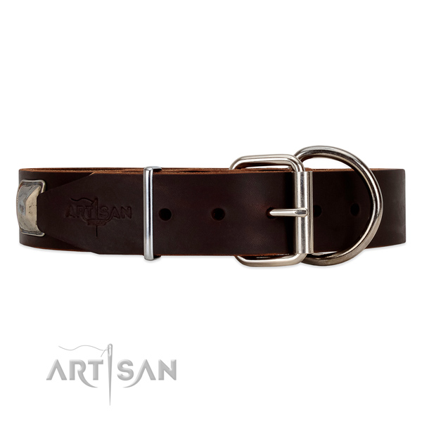 Leather dog collar with old bronze-like hardware