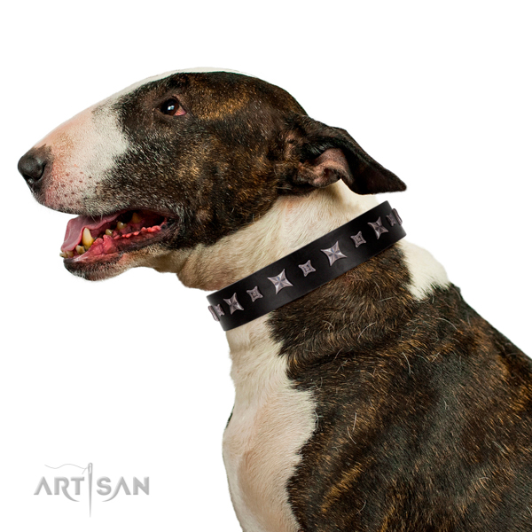 Walking top-notch quality walking leather Bull-Terrier collar