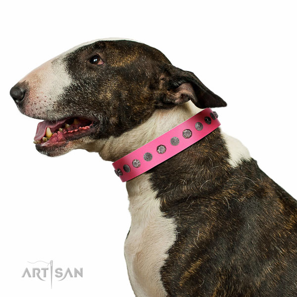 Extraordinary walking pink leather Bull-Terrier collar with chic decorations