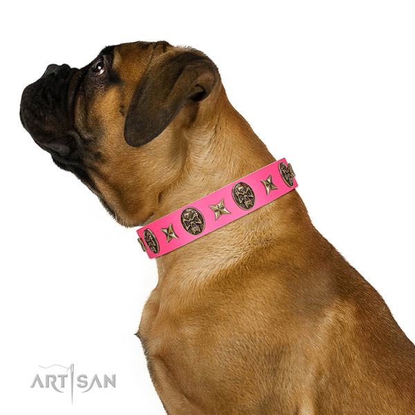 Full Grain Leather Bullmastiff Collar with Old Bronze Adornments