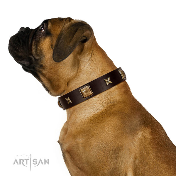 Premium quality Bullmastiff Artisan leather collar for comfortable wear