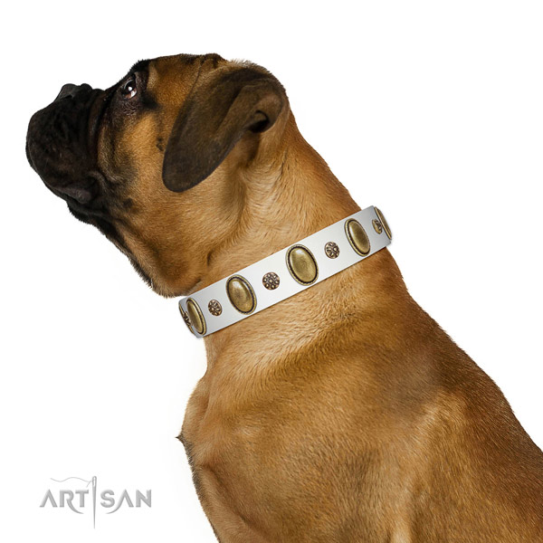 Super comfortable Bullmastiff Artisan leather collar of optimal width