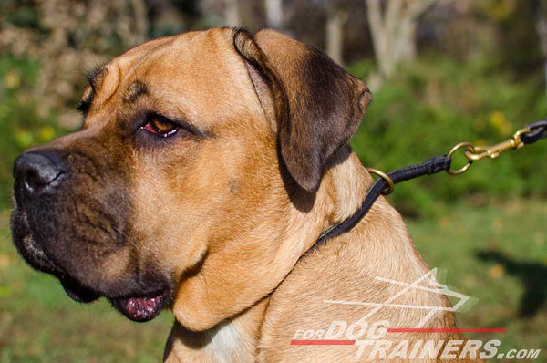 Stitched Round Leather Choke Dog Collar