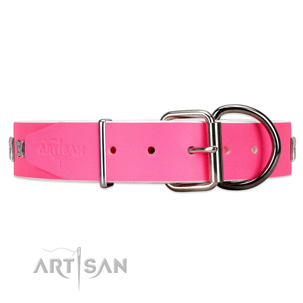 Studded leather dog collar with super reliable buckle