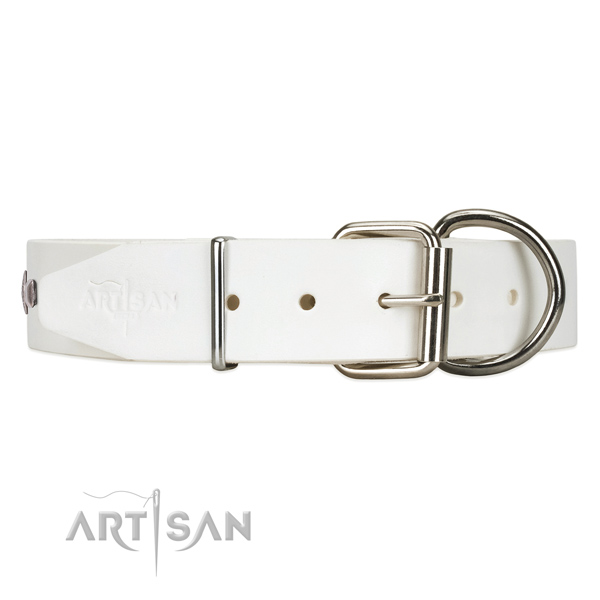 Leather dog collar with chrome plated hardware