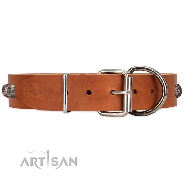 Leather dog collar with silver-like hardware