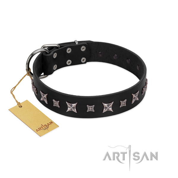 Fabulous FDT Artisan leather dog collar