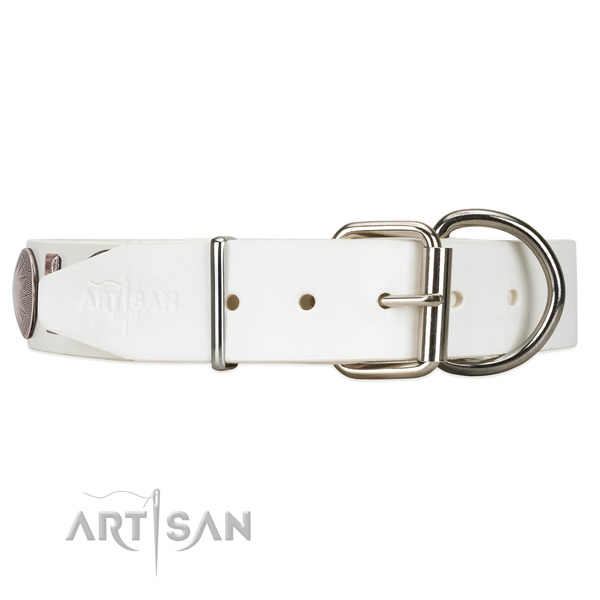 Leather dog collar with silver-like hardware