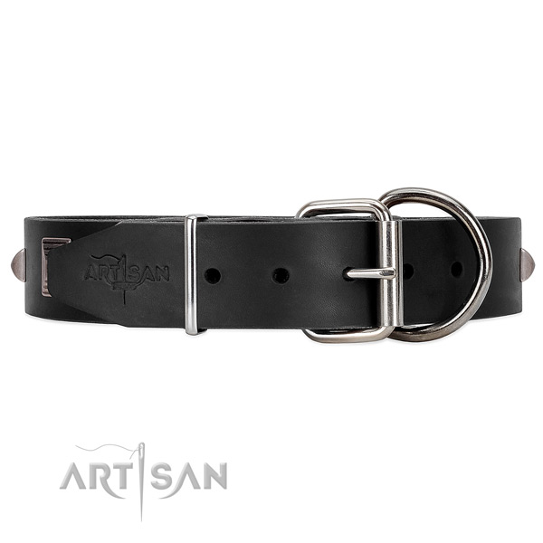 Leather dog collar with silver-like hardware