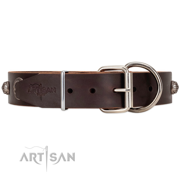 Unique style brown leather dog collar with tough fittings