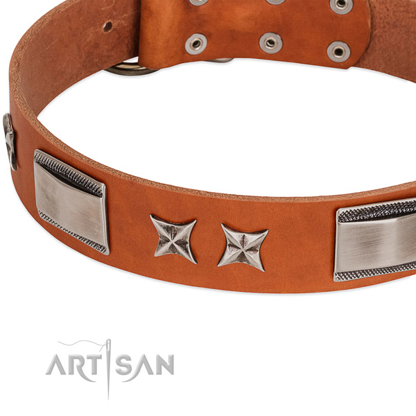 Tremendous tan leather dog collar with chrome plated decorations