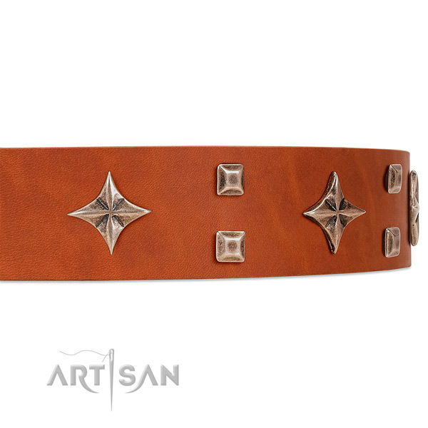 Premium quality tan leather dog collar with attractive stars and studs