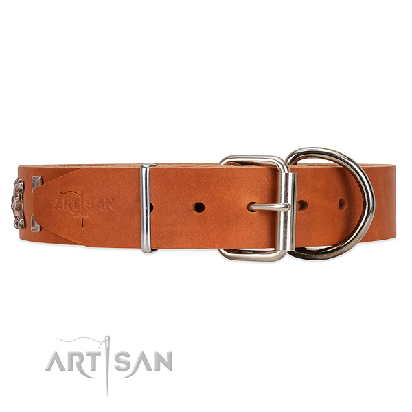 Leather dog collar with silver-like hardware