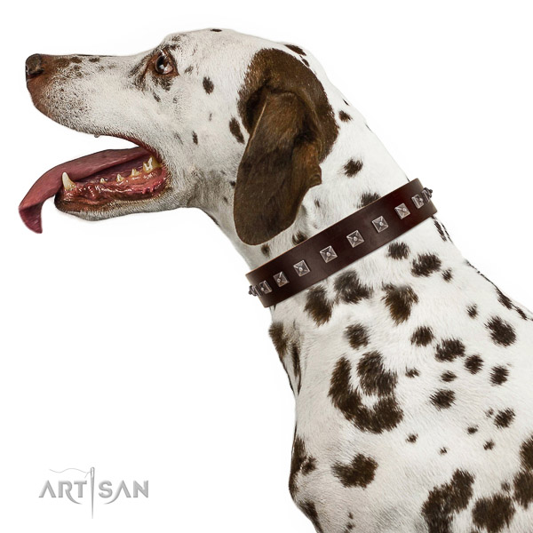 Walking top-notch quality walking leather Dalmatian collar