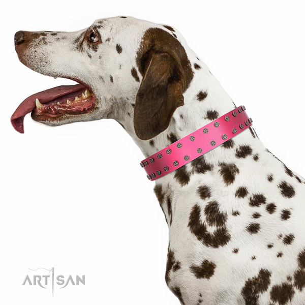 Extraordinary walking pink leather Dalmatian collar with chic decorations