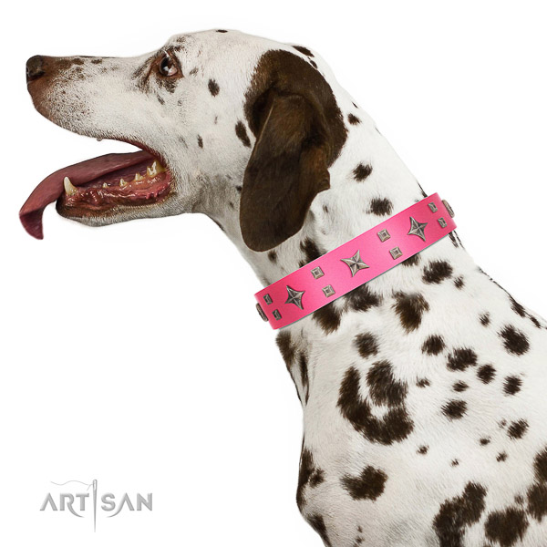 Extraordinary walking pink leather Dalmatian collar with modern decorations