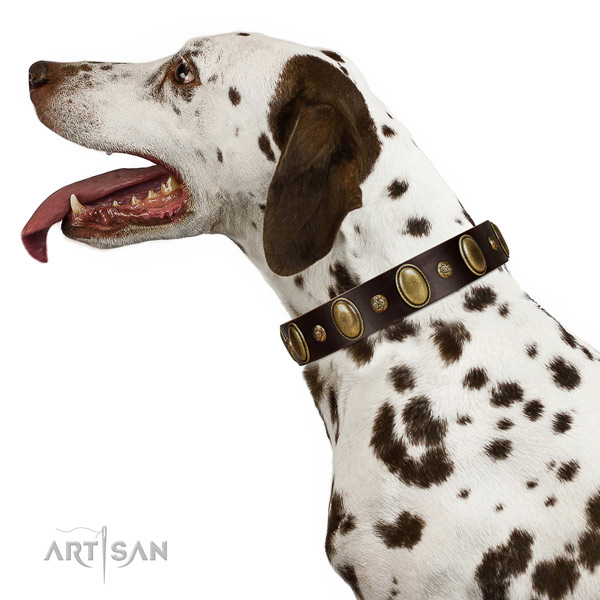 Everyday Use Dalmatian Collar of Comfortable Wearing