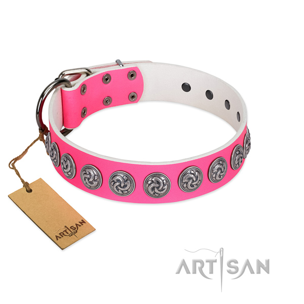 Fabulous FDT Artisan leather dog collar