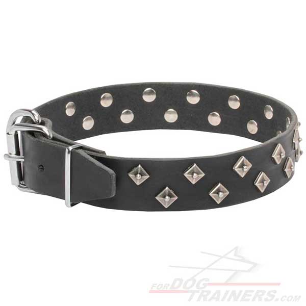 Dog Collar Leather Designer for Walking