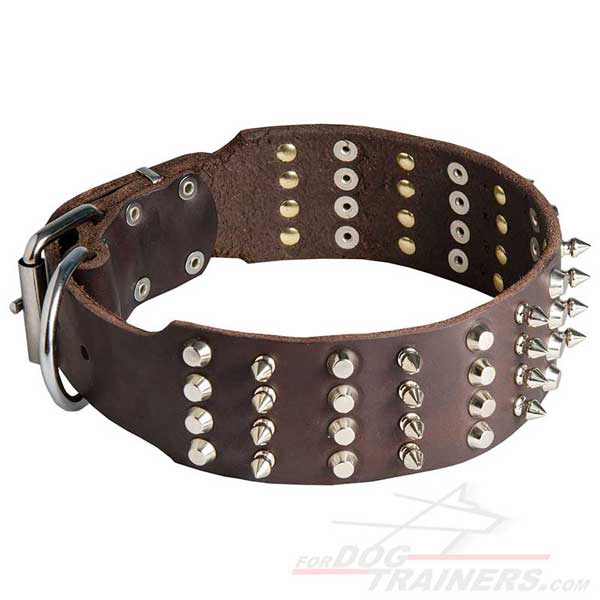 Custom-designed leather dog collar for walking