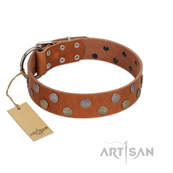 Fabulous FDT Artisan leather dog collar