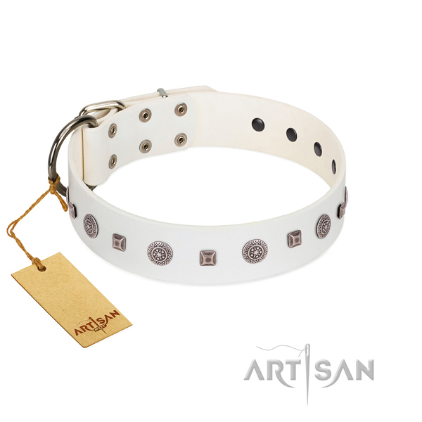 Fabulous FDT Artisan leather dog collar