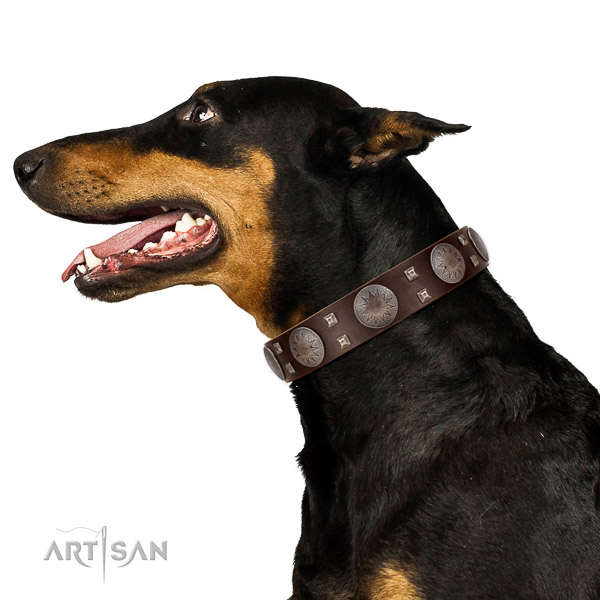 Extraordinary walking brown leather Doberman collar with cool decorations