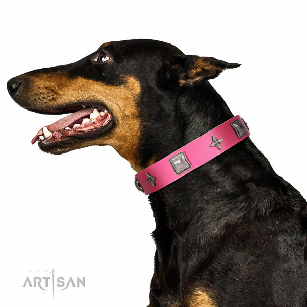 Decorated leather Doberman collar for comfortable walking