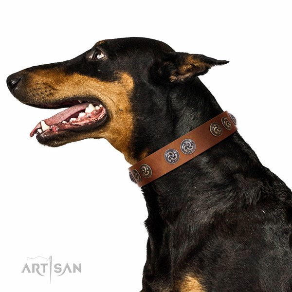 Walking top-notch quality walking leather Doberman collar