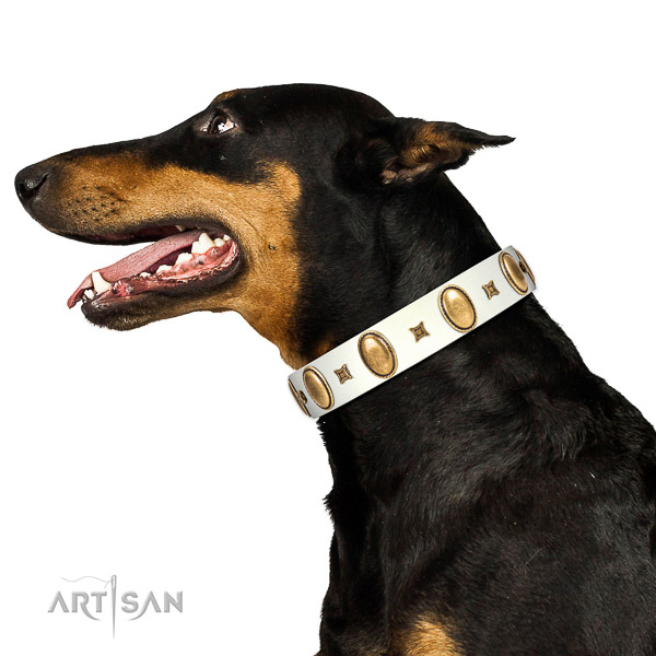 Walking top-notch quality walking leather Doberman collar