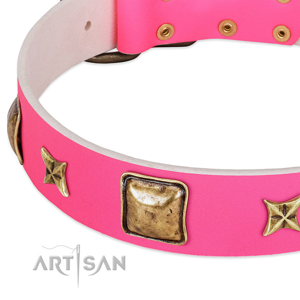 Unique Leather Dog Collar for Regular Walking