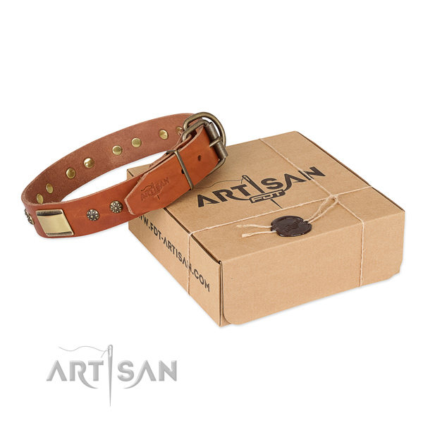 Tan Top Quality Dog Collar of Incredible Design