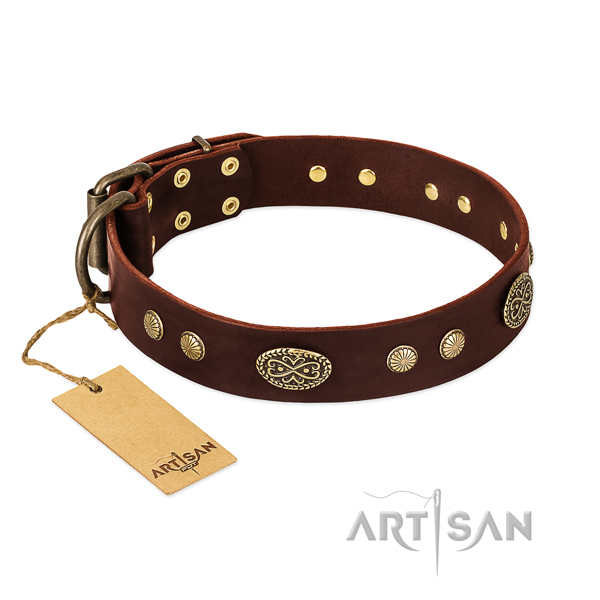 Decorative Leather Dog Collar for Safe Walking