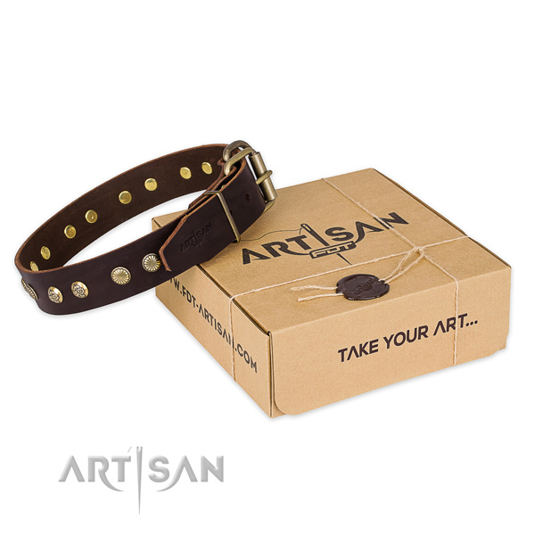 Designer Brown Leather Decorated Canine Collar