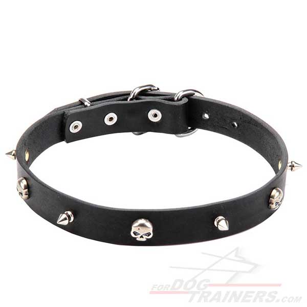 Dog Collar with Nickel Plated Decor