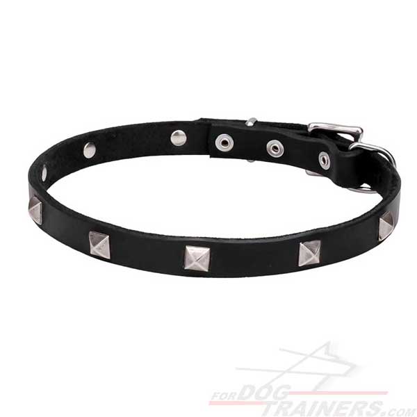 Trendy Dog Collar with Silver-Like Decor