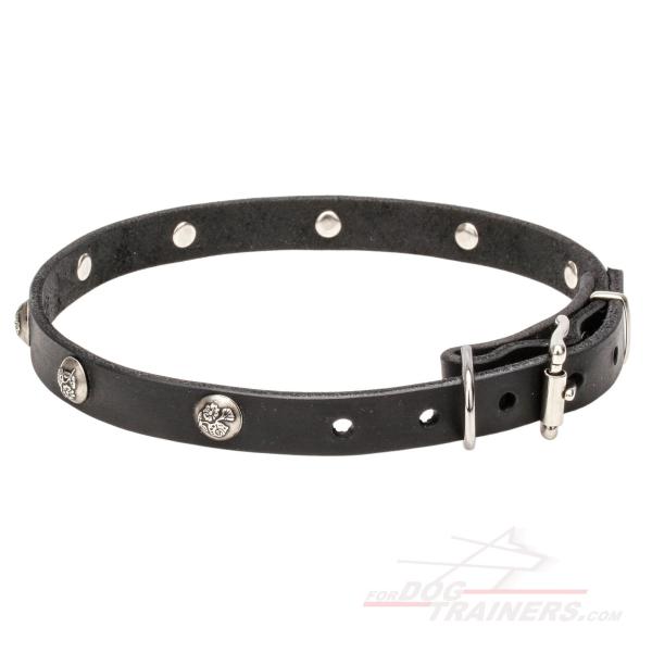 Attractive Design Strong Dog Collar