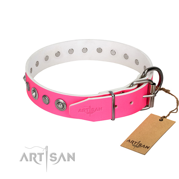 Stylish Dog Collar Adorned with Studs