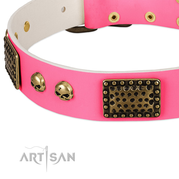 Decorative Leather Dog Collar for Safe Walking