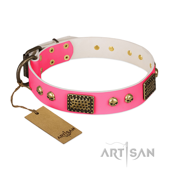 Decorative Leather Dog Collar for Safe Walking