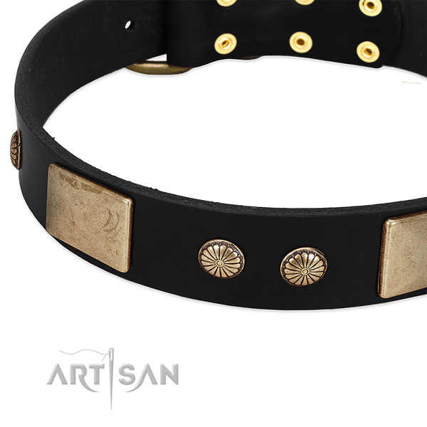 Trendy FDT Artisan Leather Dog Collar with Riveted Decor