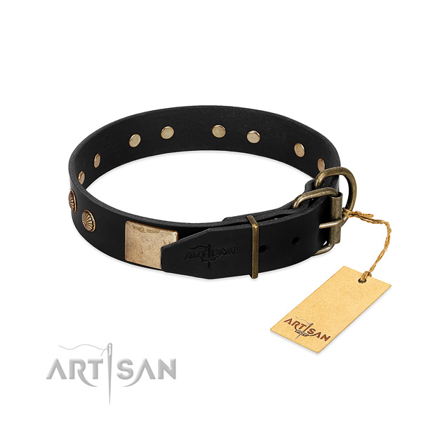 Designer Dog Collar Equipped with Rustproof Hardware