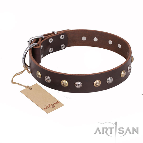 Brown Leather Dog Collar with Studs