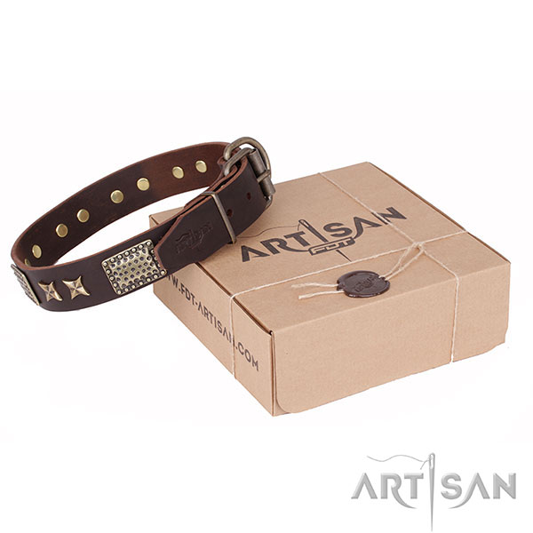 Designer Brown Leather Canine Collar