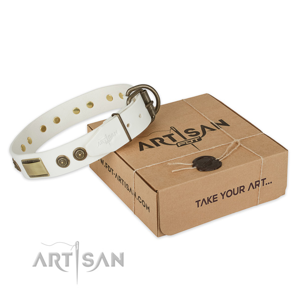 Stylish Dog Collar with Bronze Decor