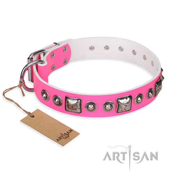 Stylish Dog Collar with Silver Look Decor