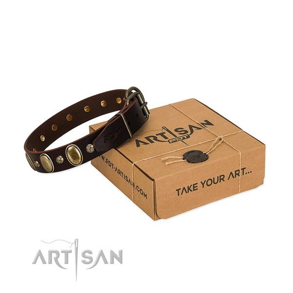 Brown Leather Dog Collar with Bronze-like Plated Plates and Studs