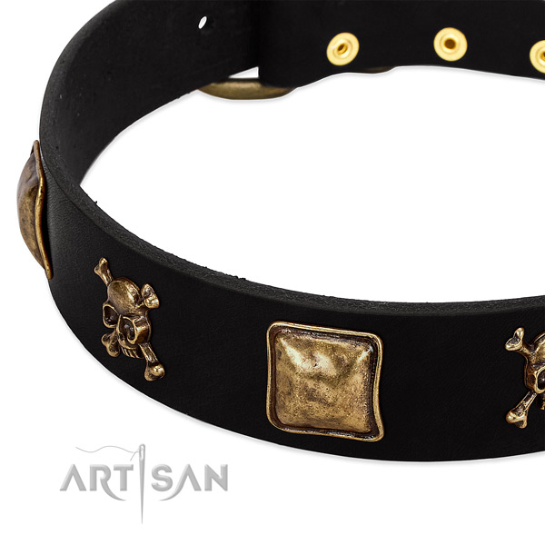 FDT Artisan dog collar adorned with skulls and crossbones in combination with squares