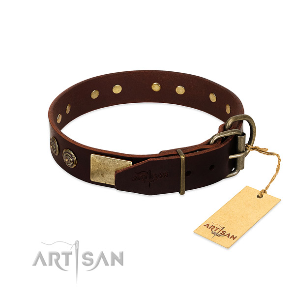 Walking dog collar with reliable fittings